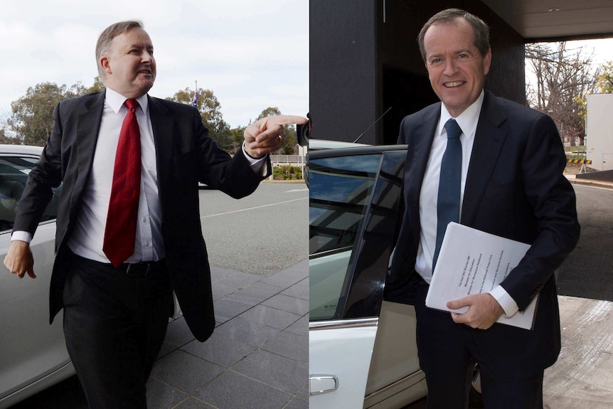 Leadership contest: Labor MPs Anthony Albanese (left) and Bill Shorten.