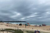 A beach on an overcast day with people scattered on the sand