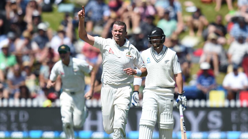 Australian bowler Peter Siddle celebrates the wicket of New Zealand's Doug Bracewell in Wellington.