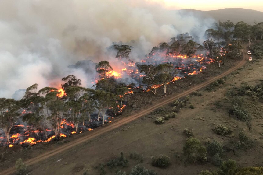 Bushfire beside a fire road inside Namadgi National Park.