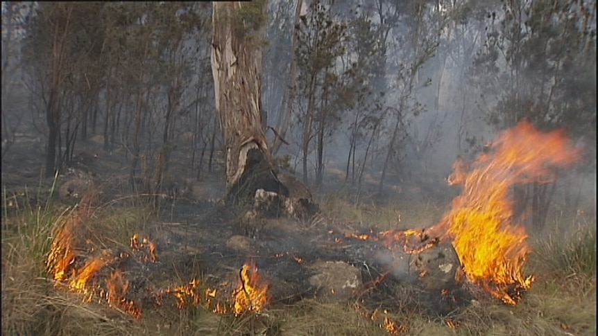 Cool burning reignited by Tasmanian Aboriginals