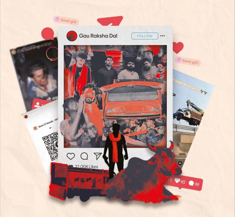 A collage of Instagram posts and cows.