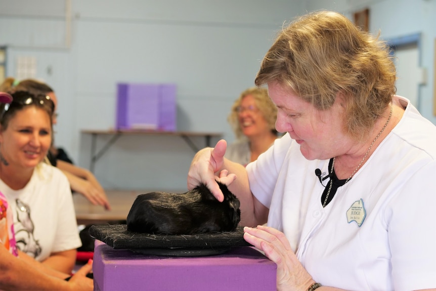 A woman with short blonde hair pats a black guinea pig.