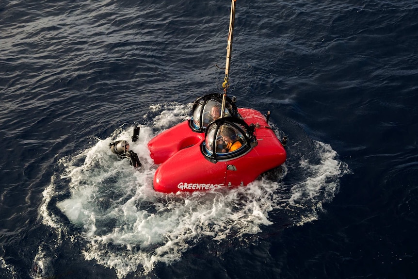 A small submarine is launched from a Greenpeace ship.