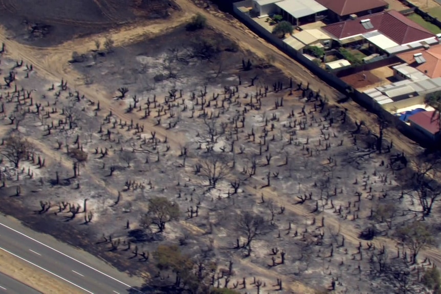 Aerial vision shows scorched earth