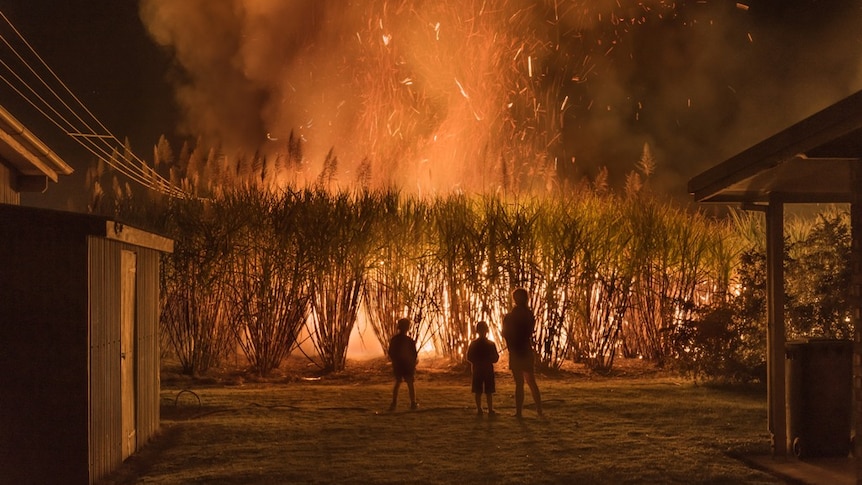 A young family watches a cane fire from their backyard near Bundaberg.