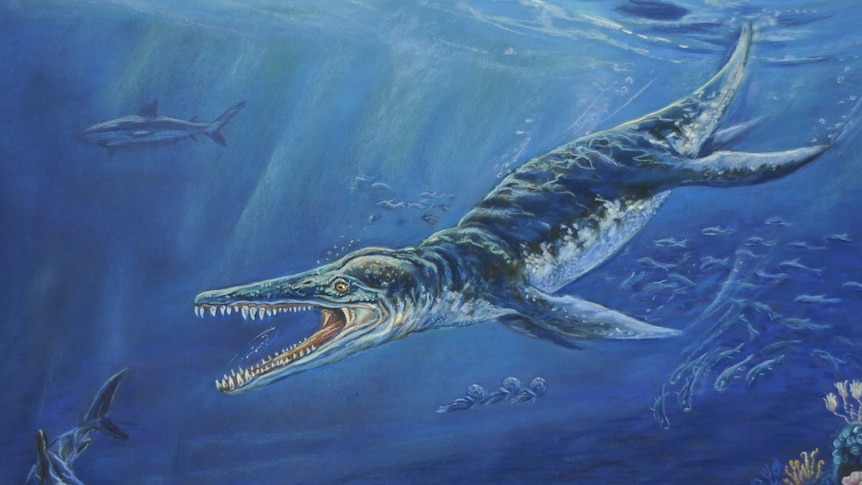 A large marine reptile with a big jaw