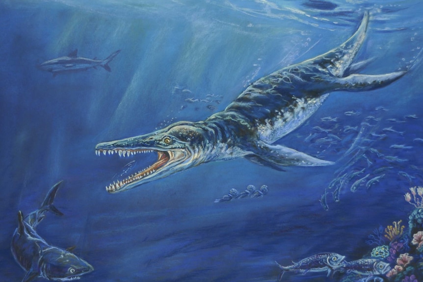 A large marine reptile with a big jaw