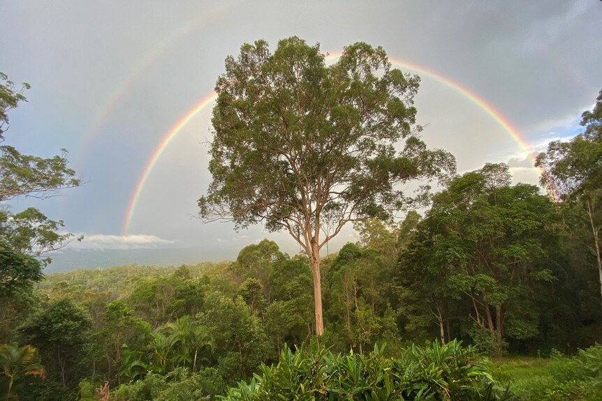 Rainbow over bushland from Jolly's Lookout at Mt Nebo near Brisbane after storms