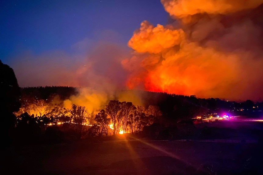 A bushfire viewed along a road at night