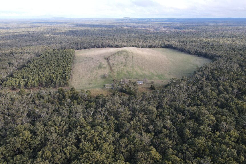 An aerial shot of a forest, with a green clearing in the middle