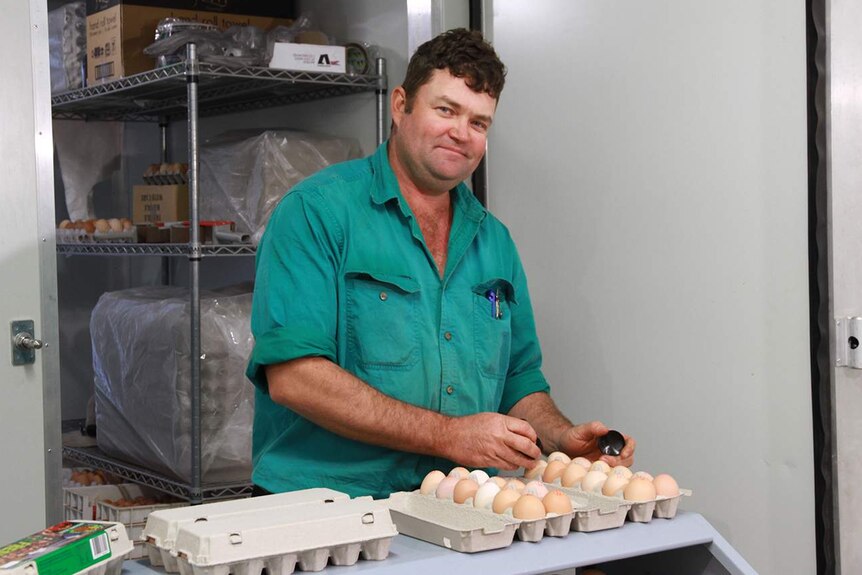Farmer stands in cold room in front of shelving stamping eggs in cartons of 12