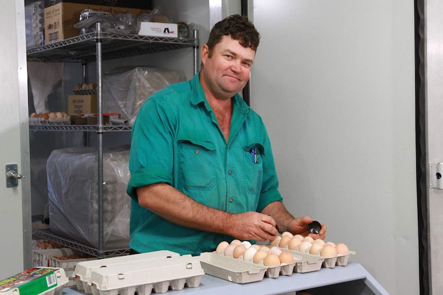 Farmer stands in cold room in front of shelving stamping eggs in cartons of 12.