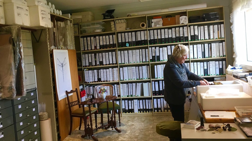 Dutch-born artist, Annemieke Mein standing at a sink in her studio with many folders in a bookshelf behind her.