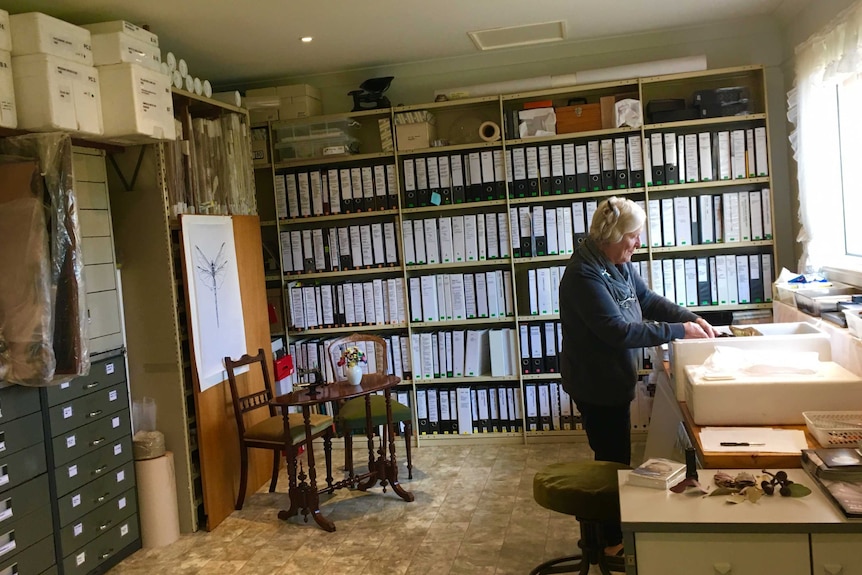 Dutch-born artist, Annemieke Mein standing at a sink in her studio with many folders in a bookshelf behind her.