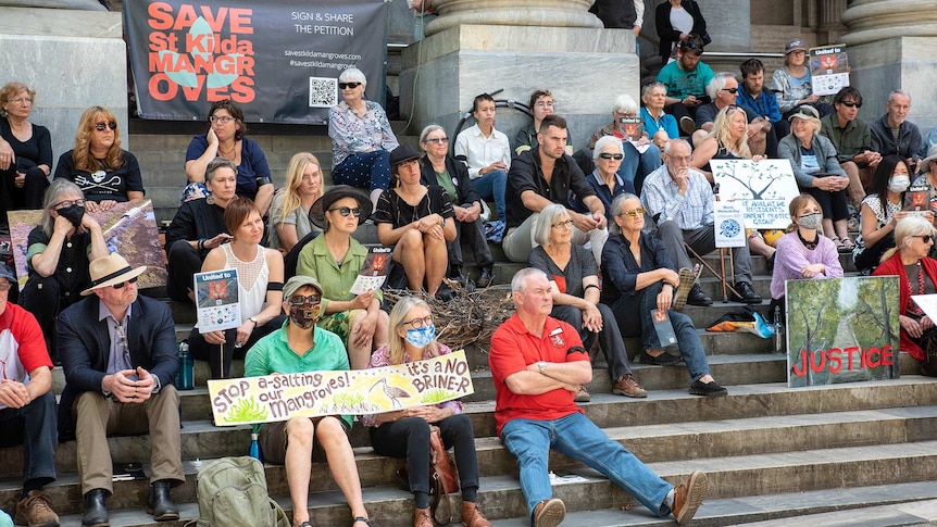 A crowd of people sit on the steps of Parliament House in SA, waving signs in support of saving mangroves.