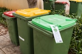 Three green bins lined up next to one another with different coloured lids.