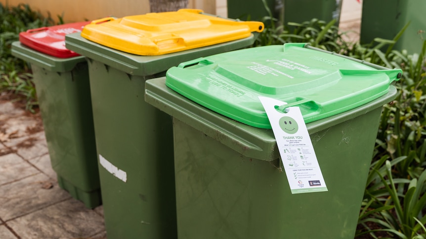 Three green bins lined up next to one another with different coloured lids.