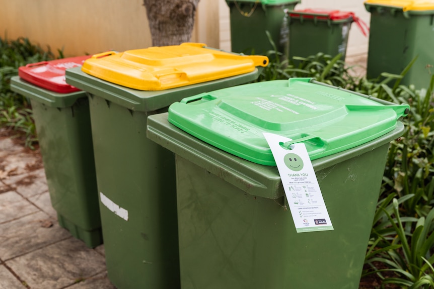 Three green bins lined up next to one another with different coloured lids.