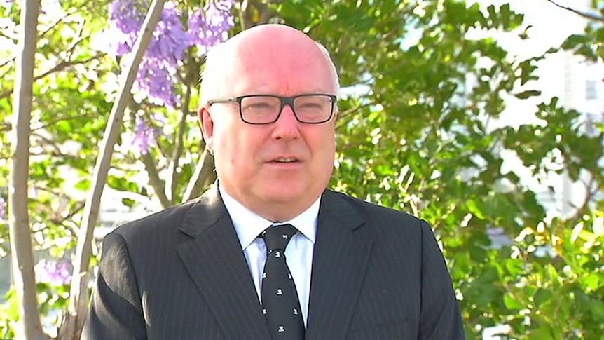 Federal Attorney-General George Brandis says it is premature to express any conclusions about Stephen Parry's citizenship status