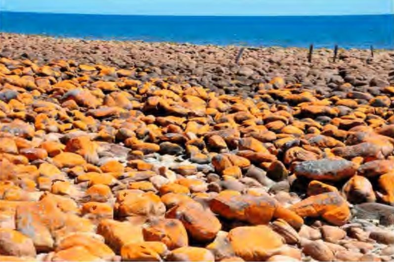 Une plage rocheuse