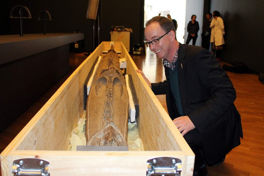 Crispin Howarth, curator of Pacific Art at the National Gallery of Australia with the 6.3 metre wooden crocodile from Papua New Guinea.