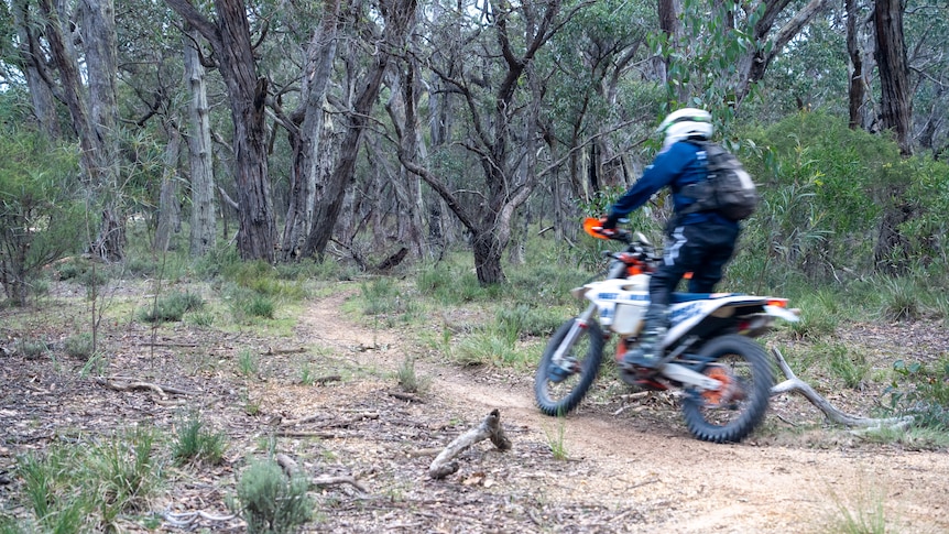 A person on a dirt bike in the bush.