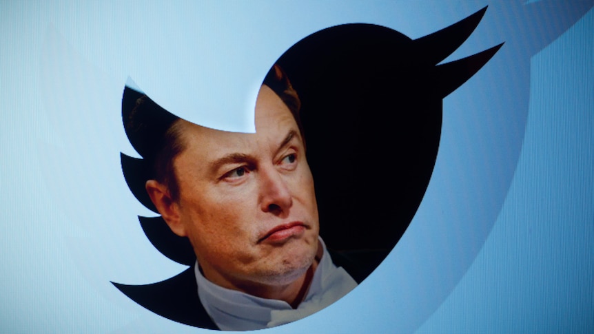 Twitter owner Elon Musk with a Twitter logo
