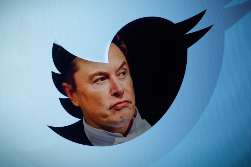 Twitter owner Elon Musk with a Twitter logo