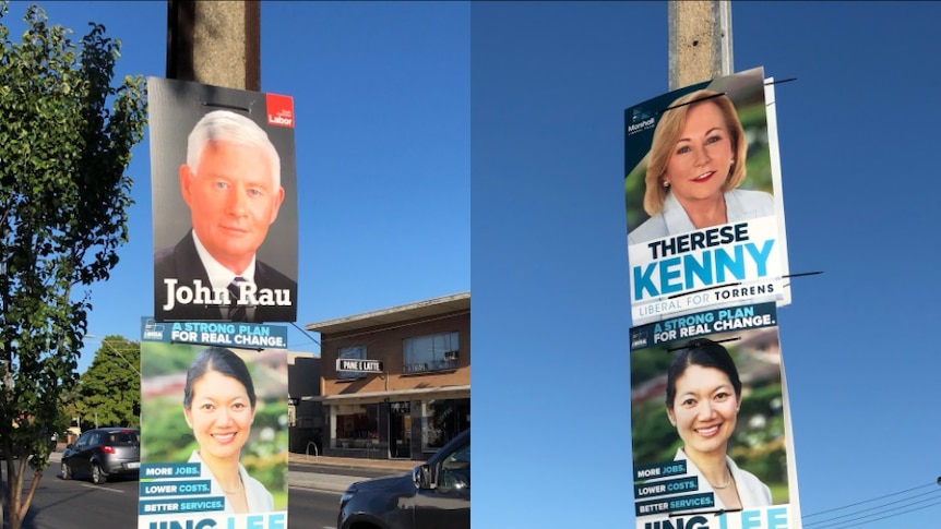 Election posters on power poles promoting Jing Lee.