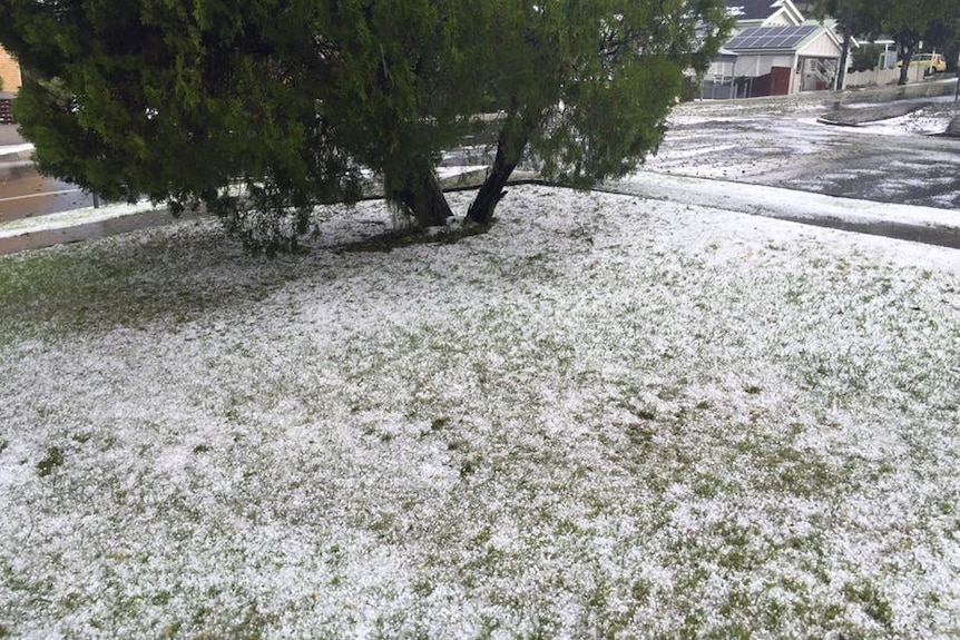 Hail covers yard in Taringa