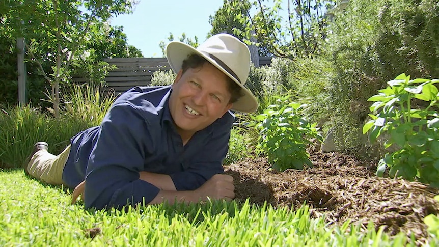 Man in hat lying on green lawn next to mulched garden bed