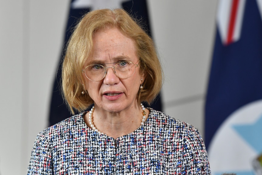 Queensland Chief Health Officer Dr Jeannette Young speaks to the media during a press conference in Brisbane