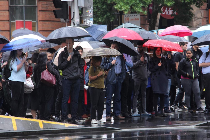 Dozens of people stand under umbrellas as they wait to cross the street amid torrential rain in Sydney CBD.
