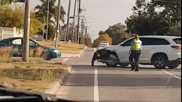 A screenshot showing a white SUV hitting a man with its front-left wheel arch on a suburban street.