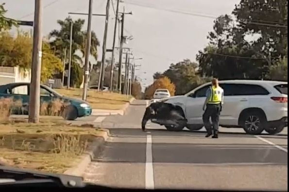 A screenshot showing a white SUV hitting a man with its front-left wheel arch on a suburban street.