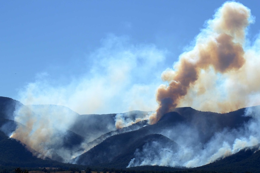 Enormous plume of smoke rising from densely forested mountains