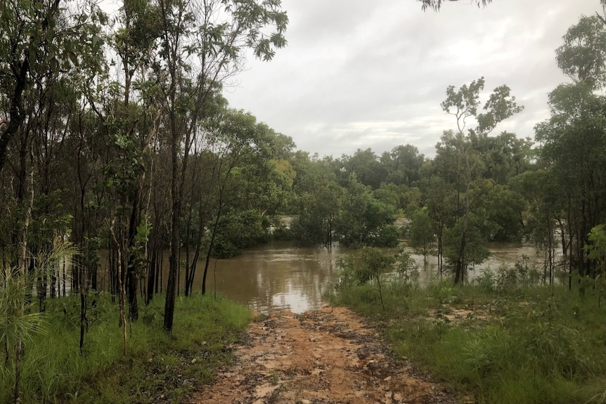 The Wenlock River in Cape York inundated with floodwaters