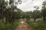 The Wenlock River in Cape York inundated with floodwaters