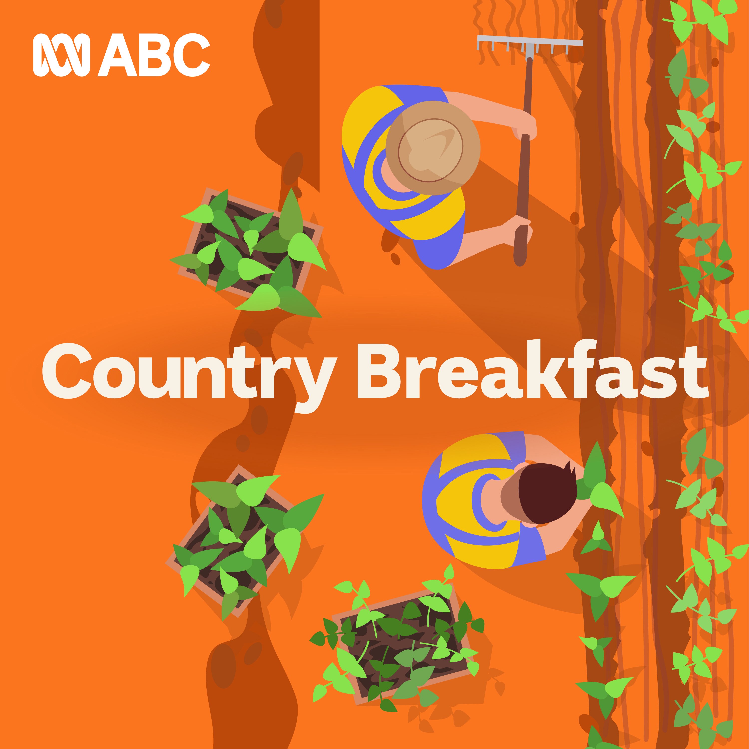 Country Breakfast