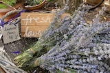 Bunches of lavender and signage offering it for sale.