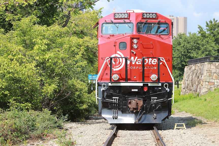 train with trees in the background 