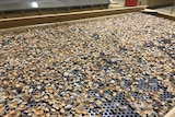 Nut shells at an almond processing facility.