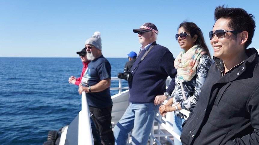Tourists watch whales in Geographe Bay off Western Australia.