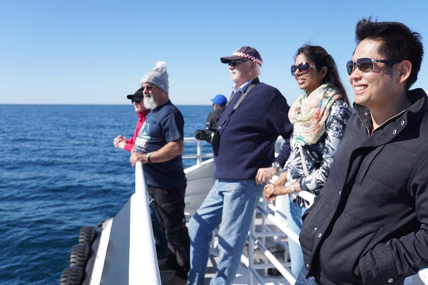 Tourists watch whales in Geographe Bay off Western Australia.