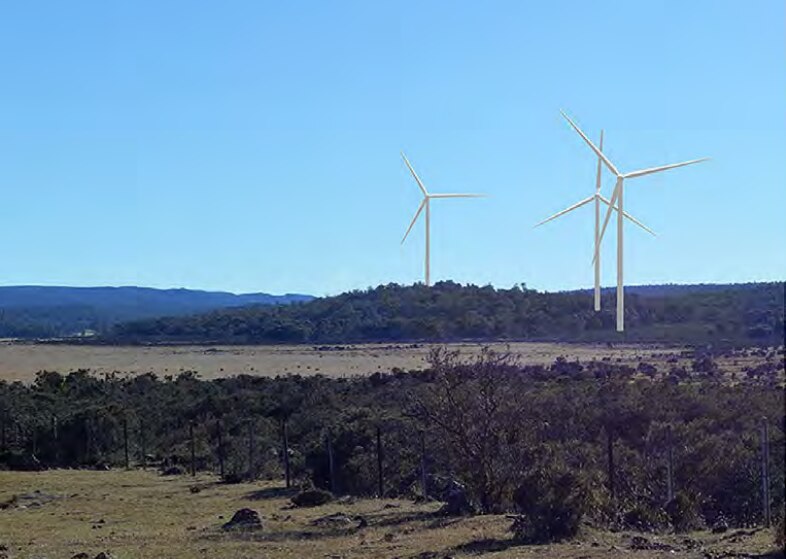 Wind farm towers are shown in paddocks in Tasmania