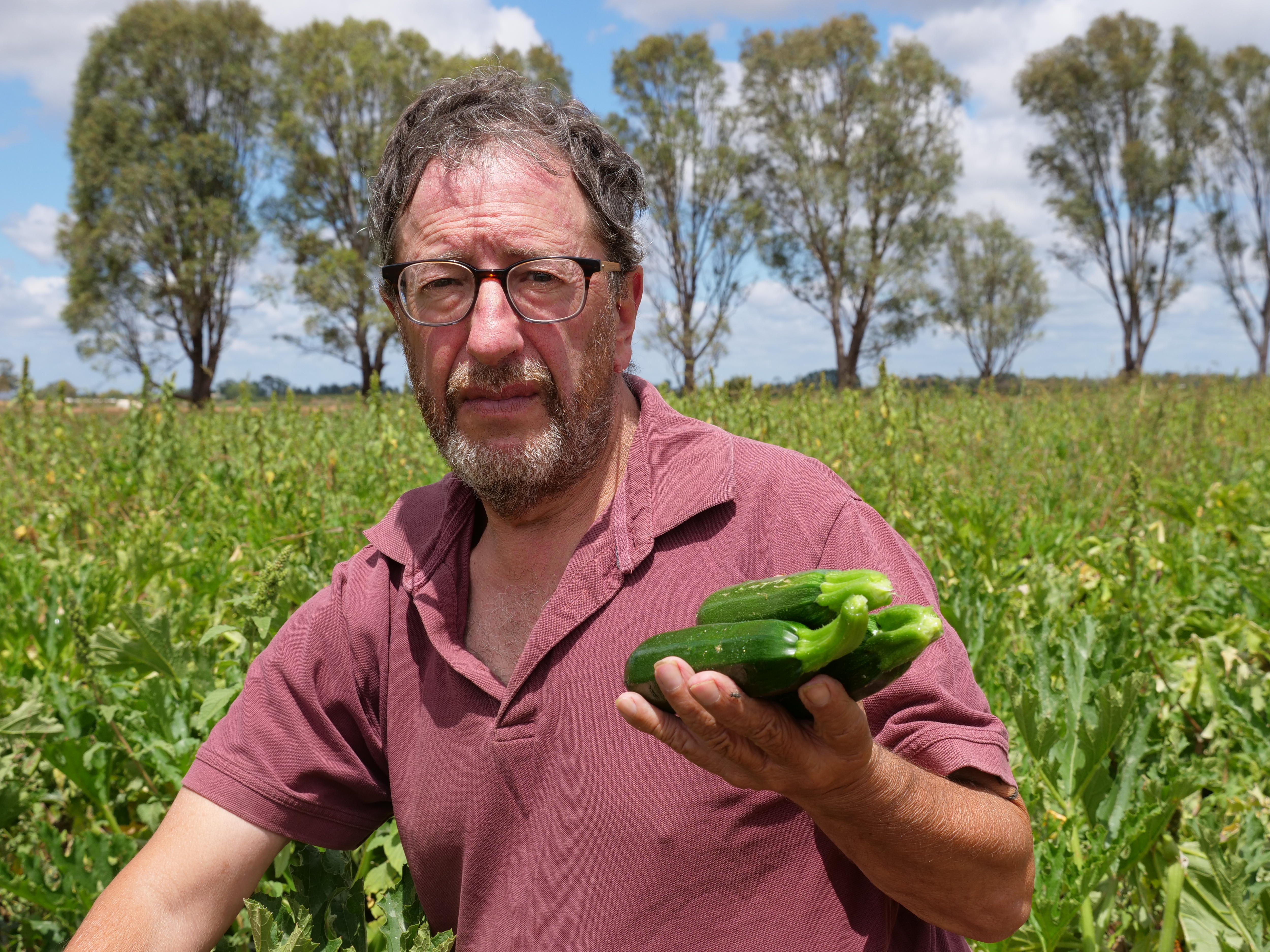 A middle-aged man kneels in a field holding three freshly-picked zucchinis.