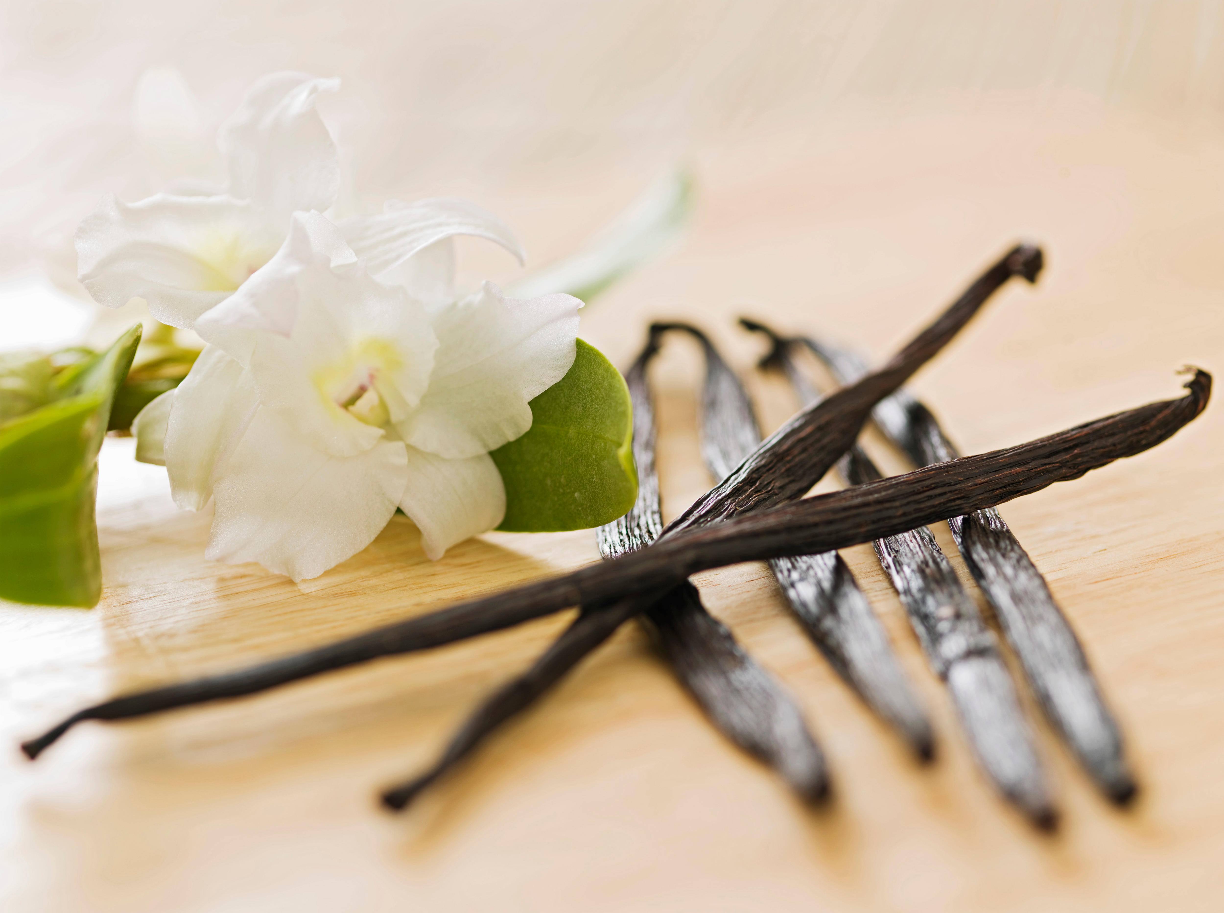 Vanilla, an extraodinary bean - ABC News & Headlines – Australian Broadcasting Corporation