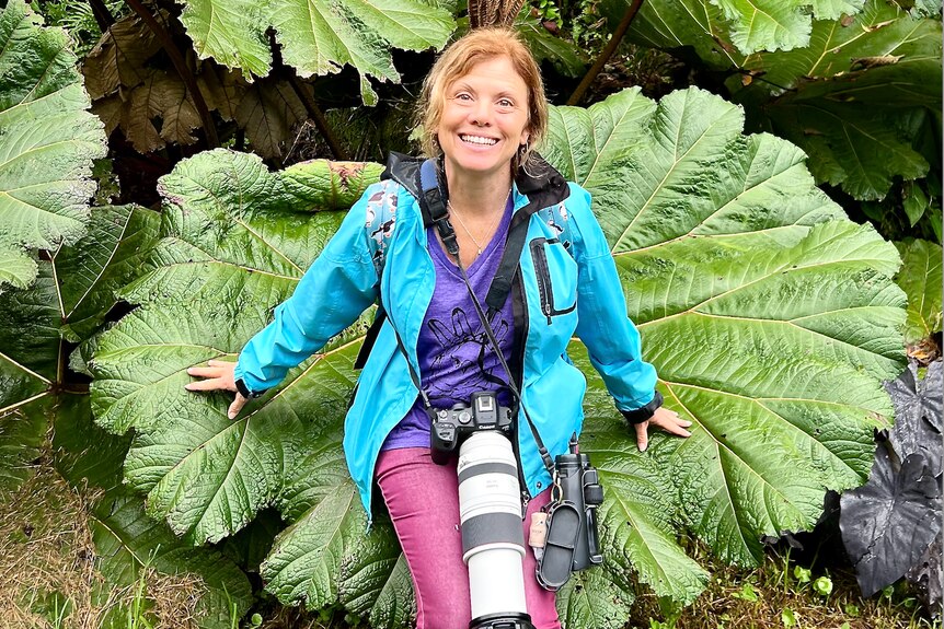 A lady sitting in front of a big leaf, wearing bright colours, with a big camera around her neck. 