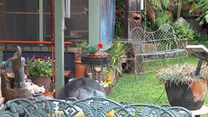 Bits n Bobs - Gardening Australia
